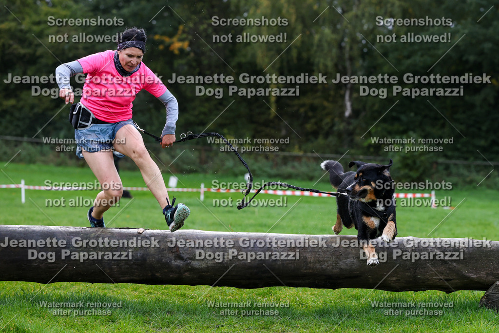 Dog Paparazzi -  SD1026-1237 | Dog Paparazzi Jeanette Grottendiek Fotografie & Videografie - Realisiert mit Pictrs.com