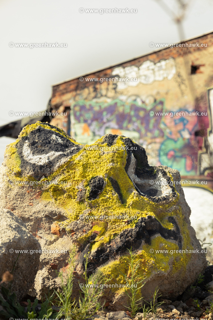 _MG_9908 | Greenhawks Bilder Shop für Landschaften, Urban, Tiere und weiteres als Poster Leinwand oder Fotogeschenk für Ostern Weihnachten oder Geburtstag  - Realisiert mit Pictrs.com