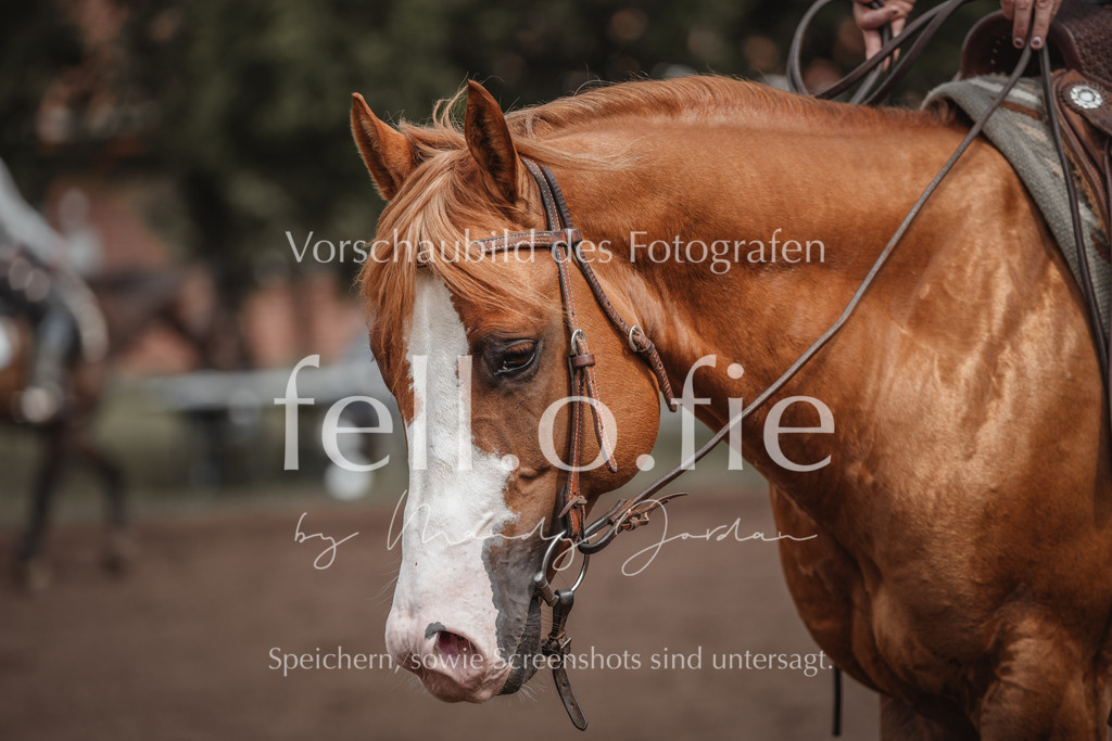 fell.o.fie_mandyjordan_2024_06_08486 | Mandy Klecke Fellfotografie, fell.o.fie Fotografenshop - Realisiert mit Pictrs.com