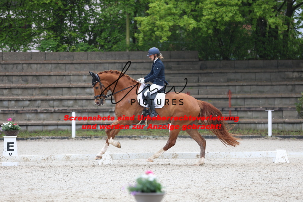 A40A8172 | lmwpictures - Realisiert mit Pictrs.com