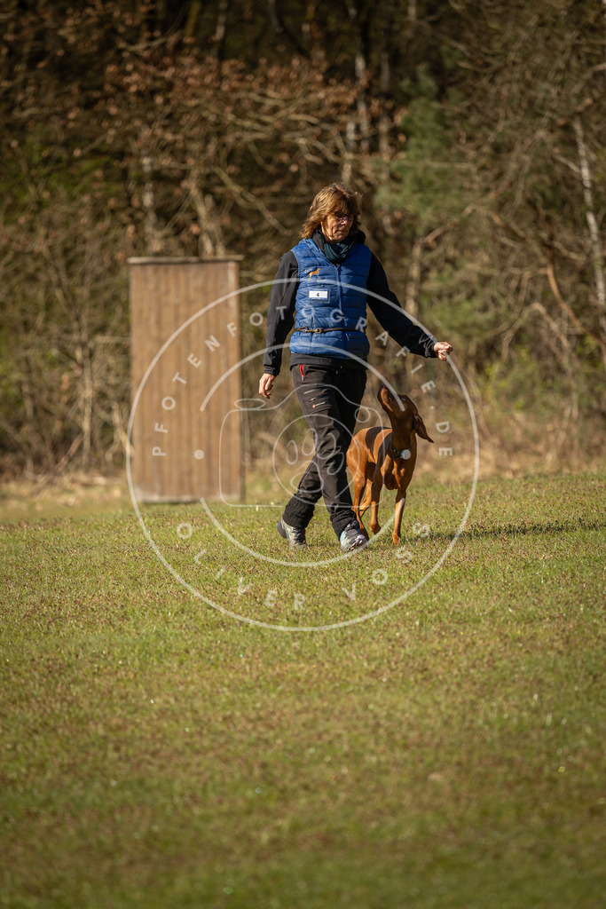 Pfotenfotografie_DV3A0063 | Hundefotografie, Tierfotograf, Pfotenfotografie, Fotoshooting Hund, Hunde Portrait, Hundesport, Hundeportraits, Heideshooting, Hunde, Sportfotograf, Hundefotograf, Turnierhundsport, THS,  - Realisiert mit Pictrs.com