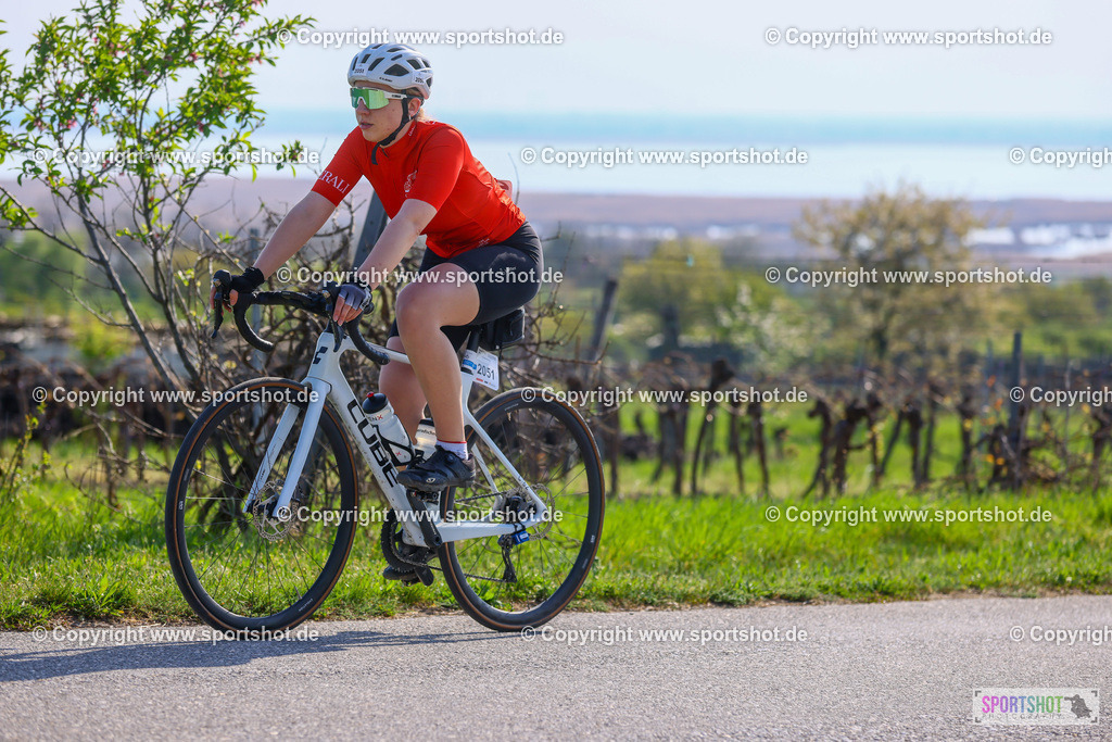 TRA_0373 | Neusiedlersee Radmarathon 2026@sportshot_your_pictrs #yourpictures#roadtowm2029 #nrm #neusiedlerseeradmarathon #neusiedlersee #neusiedlerseetourismus #burgenland #mörbisch #nrm26 #burgenlandtourismus #voglundco #poweredbyburgenlandtourismus #radsport #rad #marathon #ucigranfondo #visitburgenland #ucigranfondoworldseries