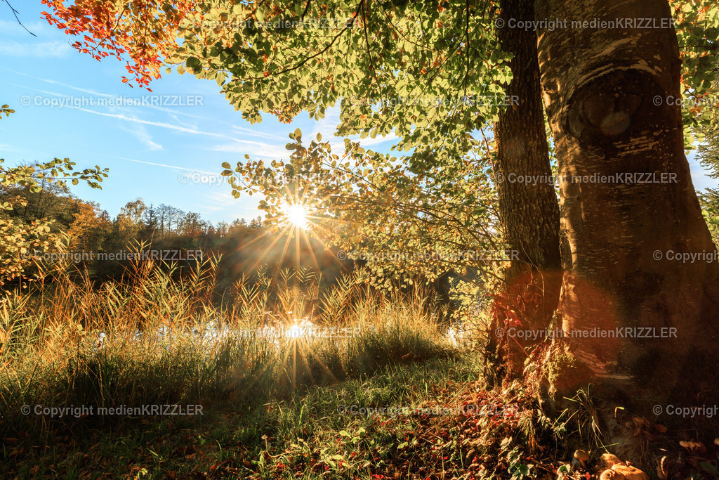 _J3A8754 | medienkrizzler - Realisiert mit Pictrs.com