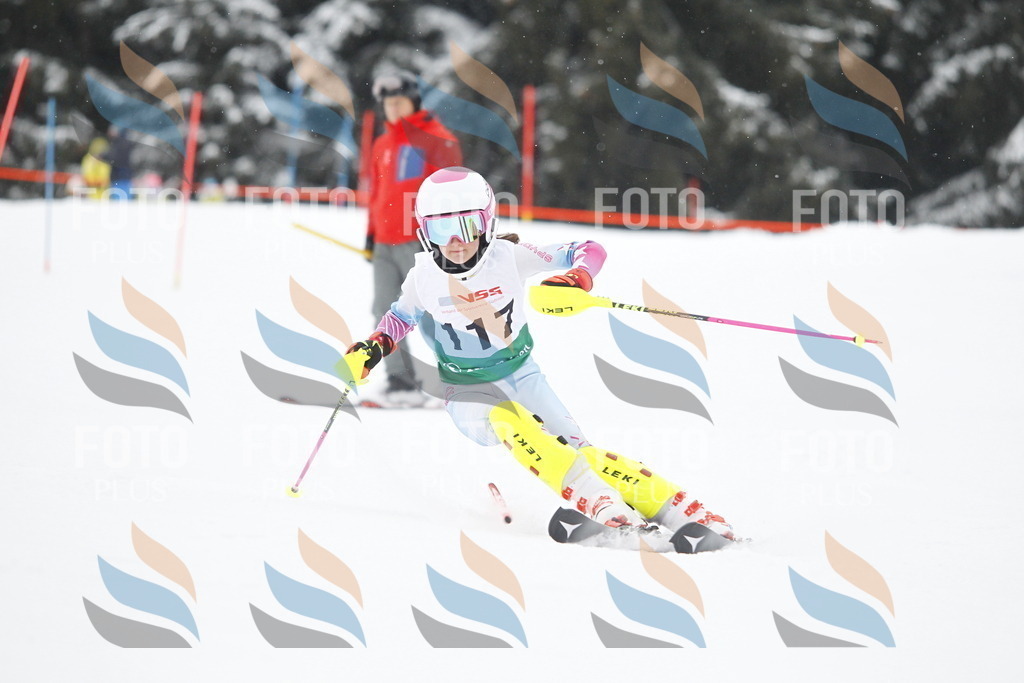 A1478 | holidayphoto