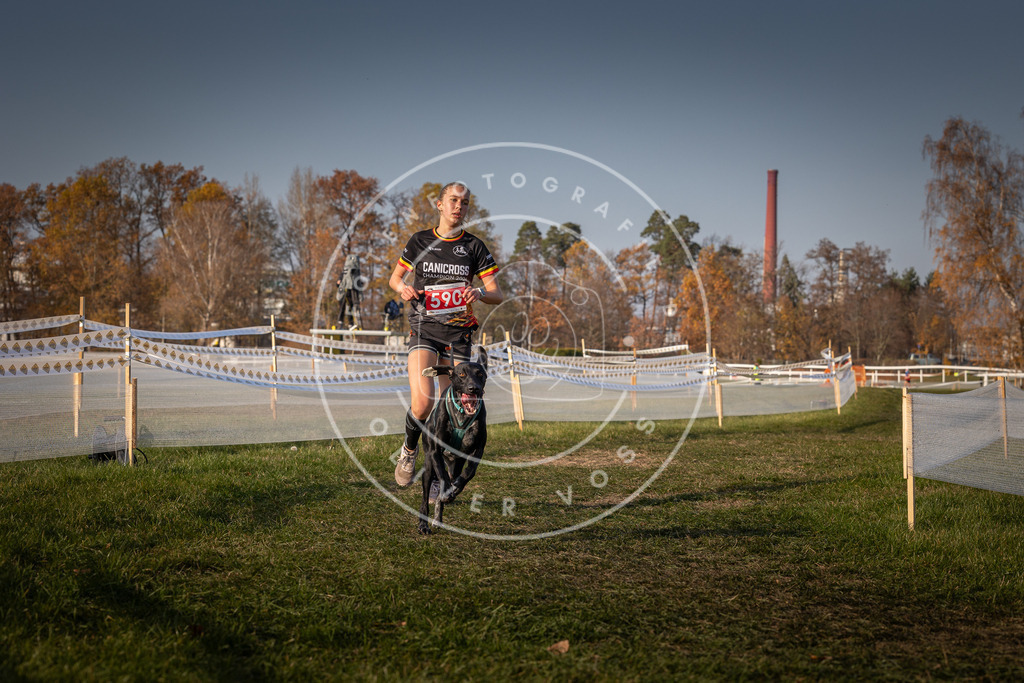 CaniXpix_0L8A9915 | Hundefotografie, Tierfotograf, Pfotenfotografie, Fotoshooting Hund, Hunde Portrait, Hundesport, Hundeportraits, Heideshooting, Hunde, Sportfotograf, Hundefotograf, Turnierhundsport, THS,  - Realisiert mit Pictrs.com