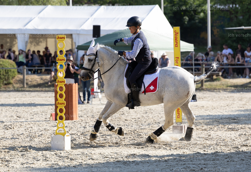 WS_SPEED_57_KerstinBernhardt-4 | working equitationturnier fotograf videograf stoibphotography marixx film working equitation deutschland reitsport turnierfotografie eventfotografie equestrian events