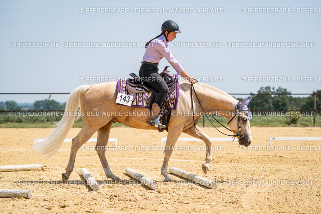 DSC01214 | Pferdegrafie