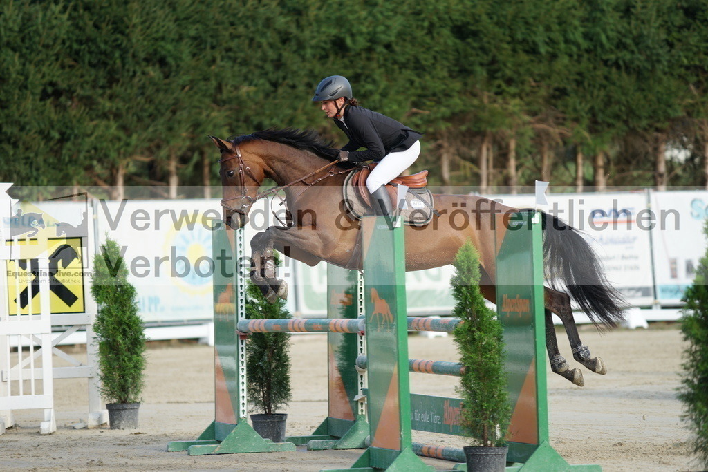 DSC01508 | equestrian-live-com