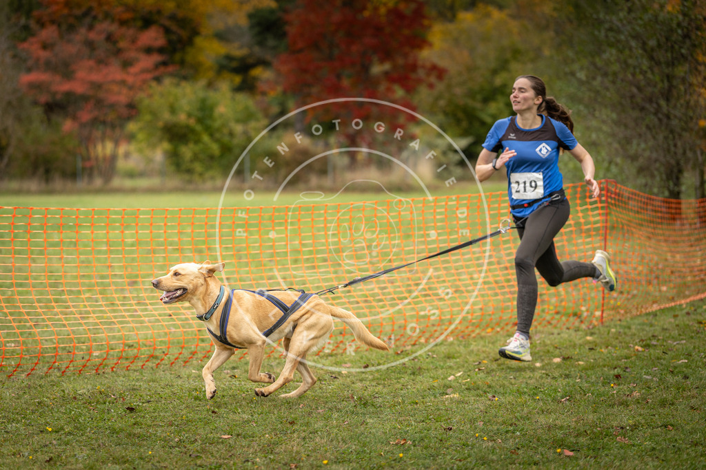 Pfotenfotografie_DV3A4665 | Hundefotografie, Tierfotograf, Pfotenfotografie, Fotoshooting Hund, Hunde Portrait, Hundesport, Hundeportraits, Heideshooting, Hunde, Sportfotograf, Hundefotograf, Turnierhundsport, THS,  - Realisiert mit Pictrs.com