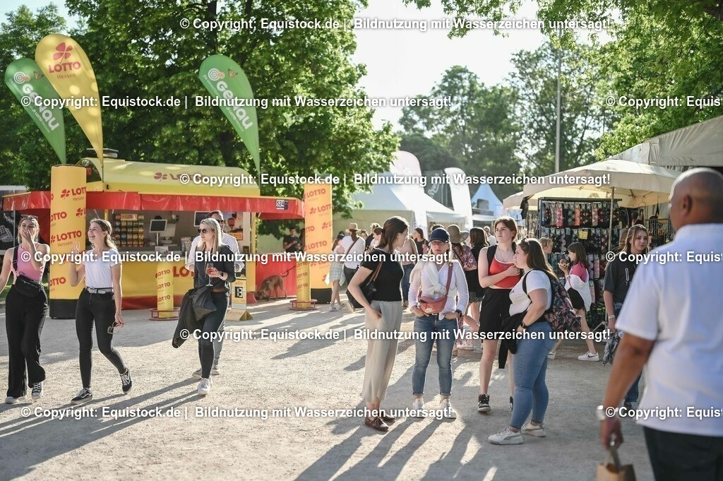 D78_3779 | equistock