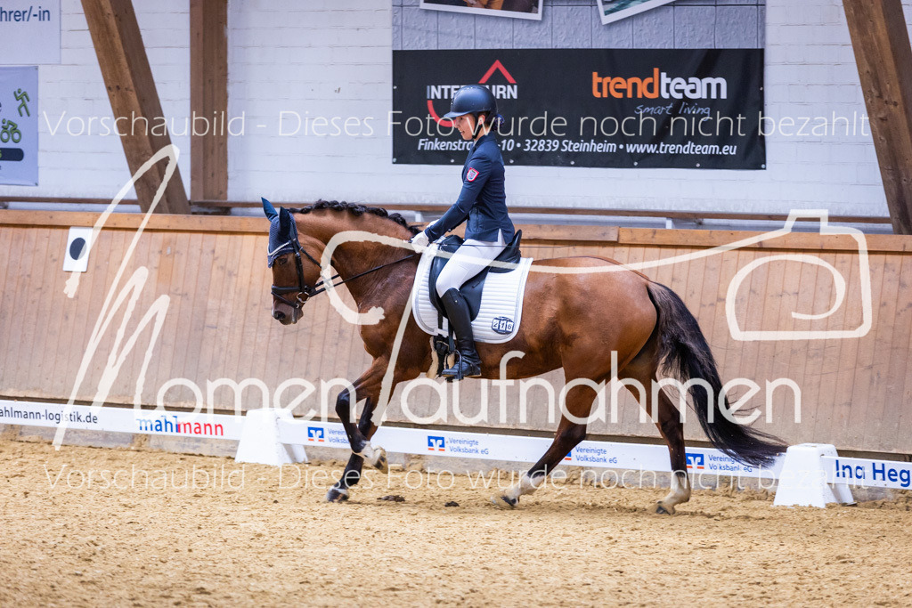 Sth-A-Dre-2St-230 | MomenTaufnahmen Pferdesportfotos