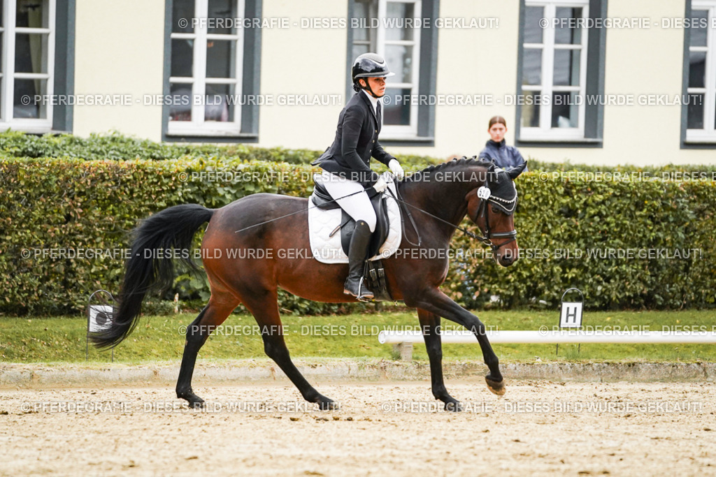 DSC07042 | Pferdegrafie