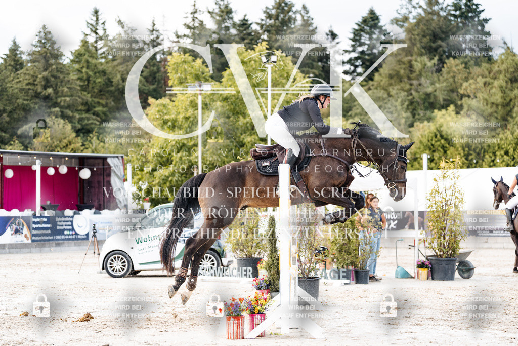 CK903699 | Turnierfotografie Pferdefotografie Trier Rheinland-Pfalz Pferdesport Reitsport Tierfotografie Sportfotografie Pferdevideo Pferdevideografie Equestrianvideography equestrianphotography  - Realisiert mit Pictrs.com