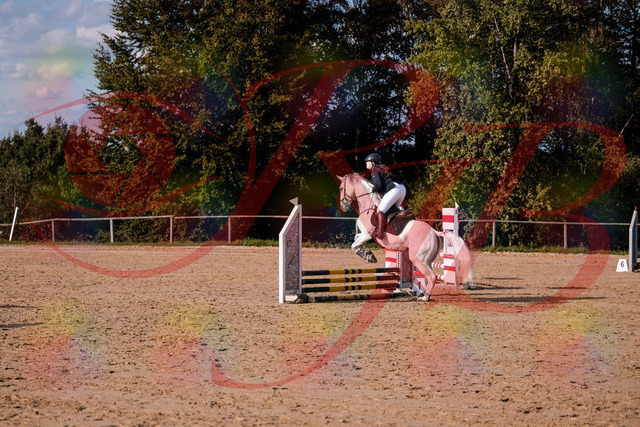 2026_10_03_Siefer-Hof_153917_Z81_54139479 | Professionelle Reitsport-, Turnier- und Eventfotografie von Robert Broda. Galerien mit ausgewählten und bearbeiteten Bildern direkt online ansehen und bestellen.