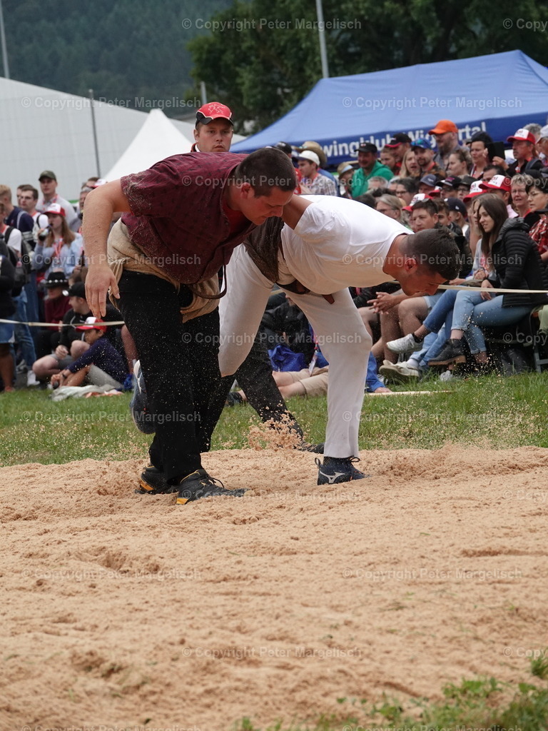 DSC04841 | Schwingen - Realisiert mit Pictrs.com