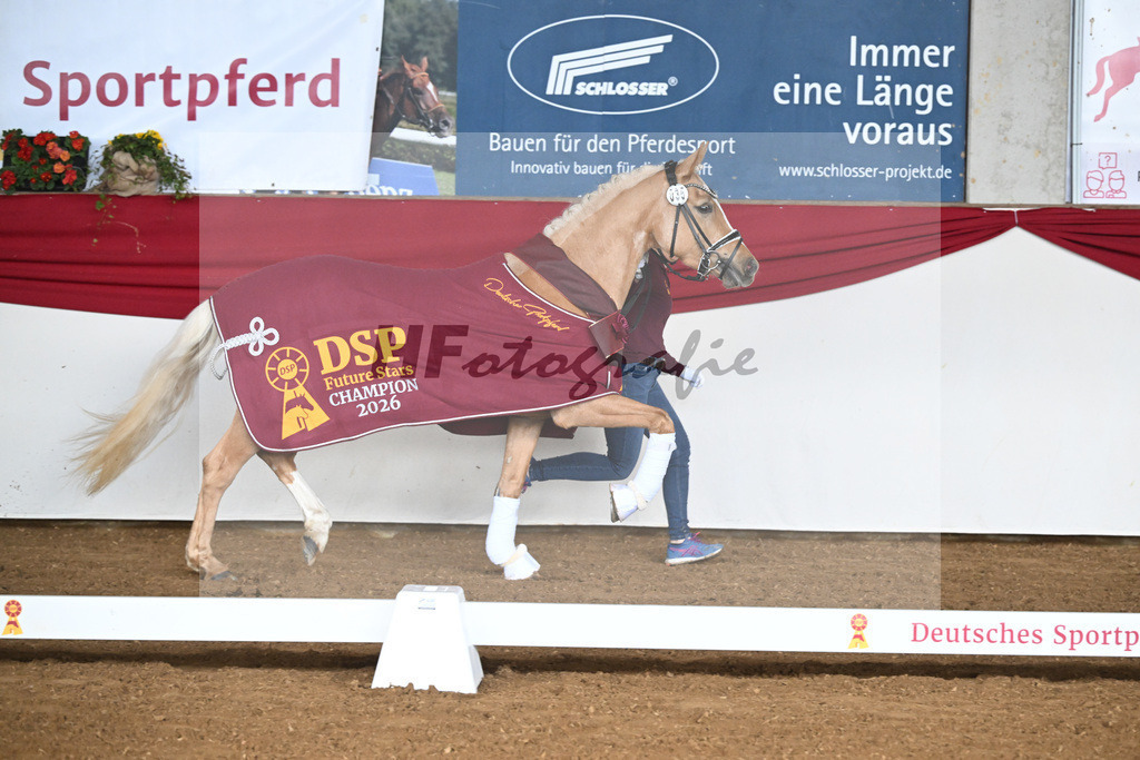 Kat-Nr. 35 Gruendleinshofs Herzbeben v. Golden West_Bauer_16250467 | hf-fotografie - Realizzato con Pictrs.com