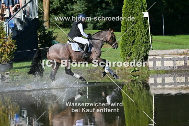 769_5154 | Björn Schroeder Pferdefotografie