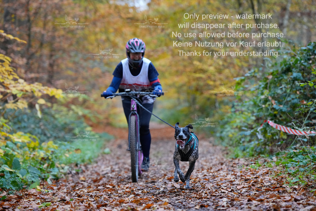 Scooter_So-84 | stephaniefillaphotographie - Realisiert mit Pictrs.com