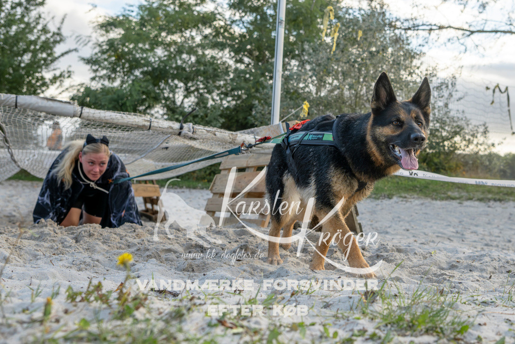 1622_ZZ97160 | kk-dogfotos