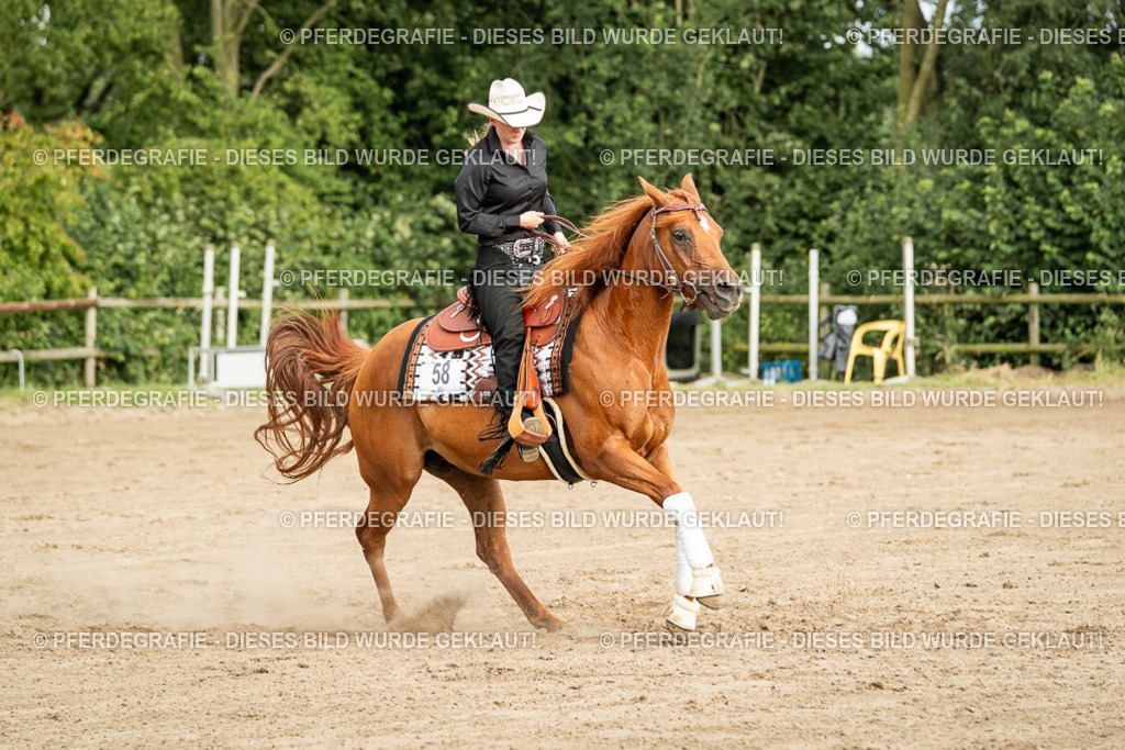 DSC05264 | Pferdegrafie