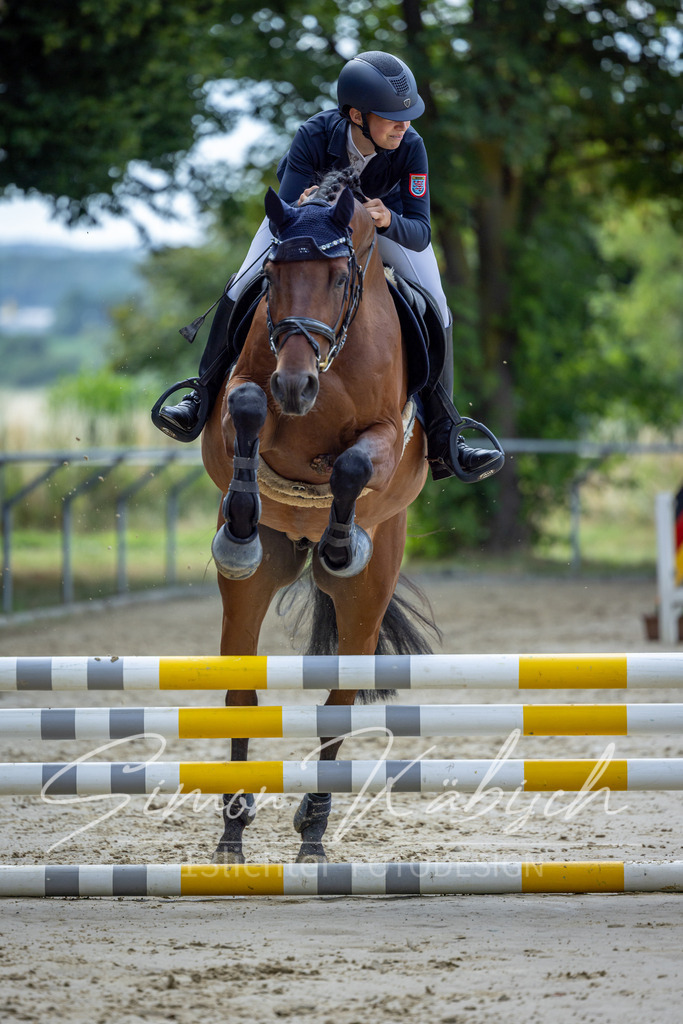 20260704-_3LI6837 | Tierfotografie Pferde, Hunde, Katzen, Haustiere.
Turnierfotografie Reitturniere, Reiten, Springreiten, Dressur in Hanau, dem Main-Kinzig-Kreis und dem Rhein-Main- Gebiet um Frankfurt