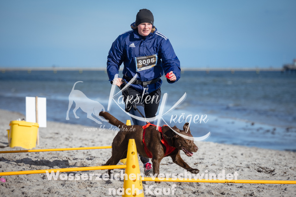 1347_ZZ93533 | kk-dogfotos