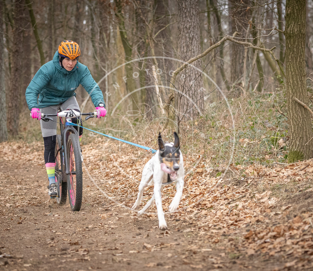 Pfotenfotografie_DV3A5243 | Hundefotografie, Tierfotograf, Pfotenfotografie, Fotoshooting Hund, Hunde Portrait, Hundesport, Hundeportraits, Heideshooting, Hunde, Sportfotograf, Hundefotograf, Turnierhundsport, THS,  - Realisiert mit Pictrs.com