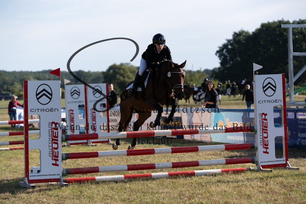 A7V08231 | Pferdefotograf