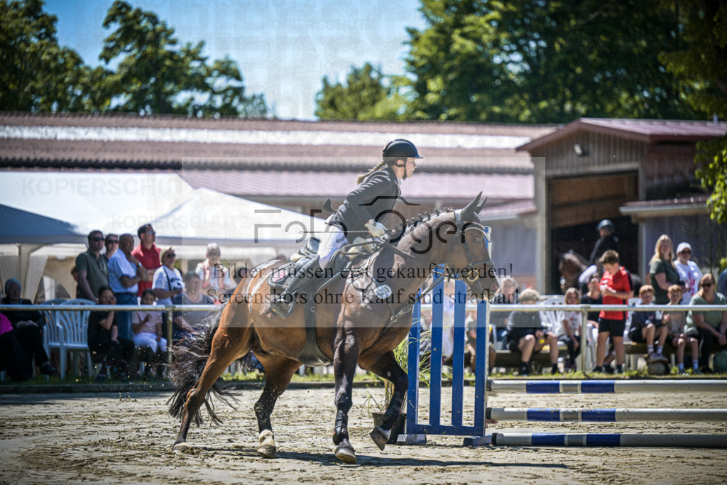 DOS_9753 | Entdecke hochwertige Reitturnierfotos von Foto Oger. Professionell, emotional und authentisch – jetzt Lieblingsmomente im Shop bestellen.Deutschlandweite Turnierfotografie. - Realisiert mit Pictrs.com