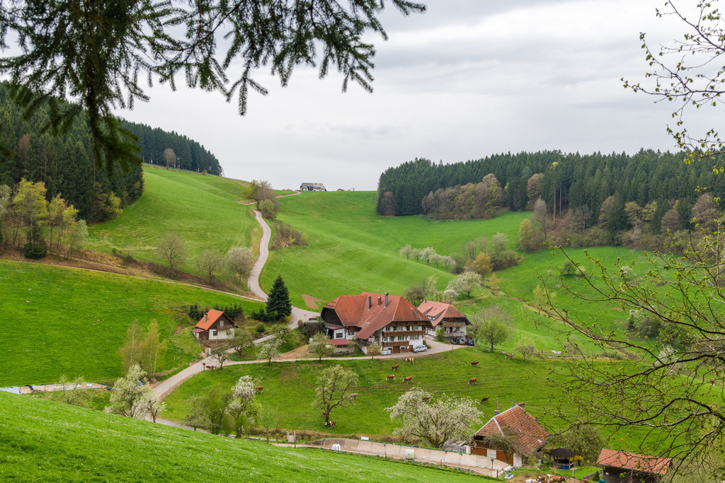 Ausblick in den Büchern | blick auf den Prinzbachhof - Realisiert mit Pictrs.com