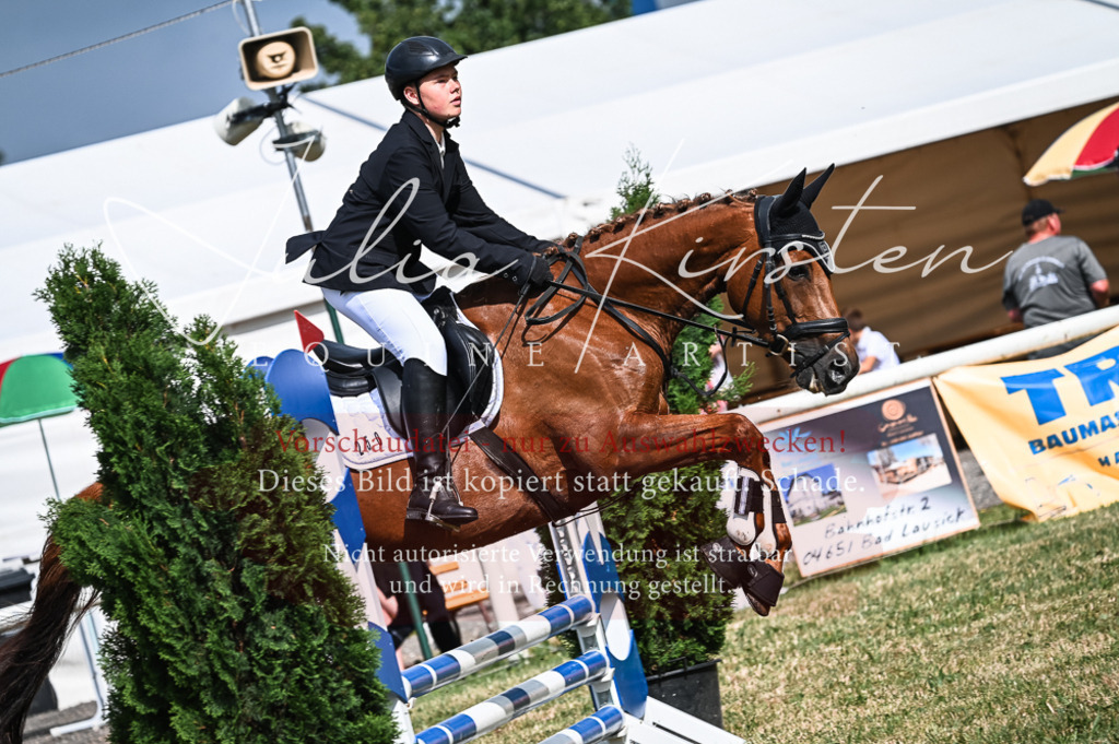 DSC_8166 | Pferde- und Turnierfotografie in Westsachsen. Pferdeportraits, Auftragszeichnungen und intuitive Kunst.
