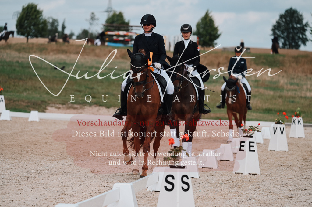 DSC_4134 | Pferde- und Turnierfotografie in Westsachsen. Pferdeportraits, Auftragszeichnungen und intuitive Kunst.