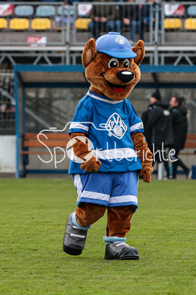 SV Vikoria Aschaffenburg - FC Bayern Amateure | Das Maskottchen der Hausherren Viki in Aktion