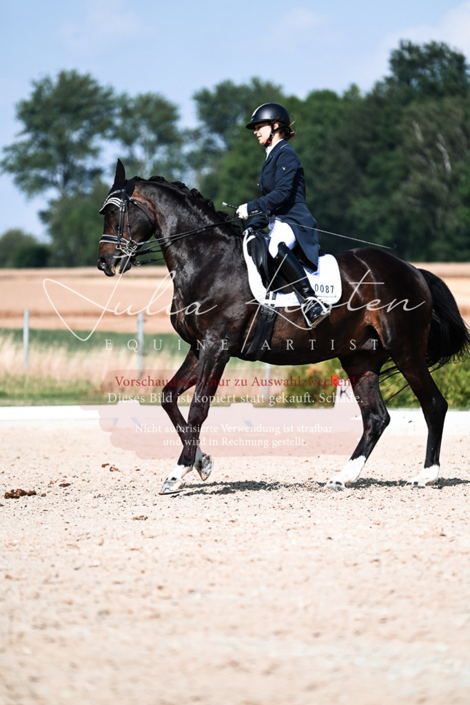 DSC_3328 | Pferde- und Turnierfotografie in Westsachsen. Pferdeportraits, Auftragszeichnungen und intuitive Kunst.