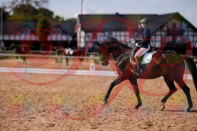2026_10_03_Siefer-Hof_133852_Z81_97911932 | Professionelle Reitsport-, Turnier- und Eventfotografie von Robert Broda. Galerien mit ausgewählten und bearbeiteten Bildern direkt online ansehen und bestellen.