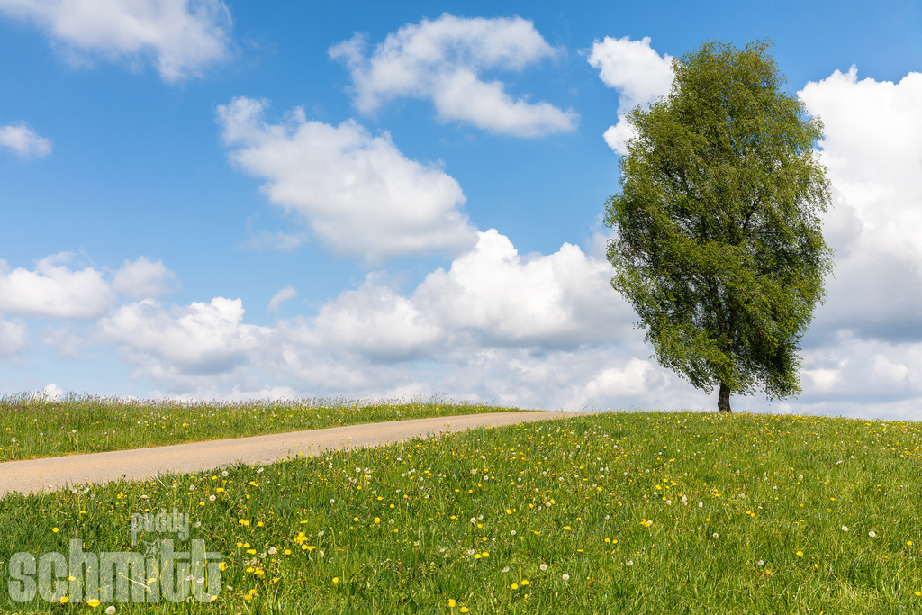 PS-Wege-2026-29 | Entdecke die größte Bildgalerie der Region mit Fotografien aus dem Allgäu, der Bodenseeregion, Oberschwaben, dem Donautal und der Schwäbischen Alb. Landschaften, Luftaufnahmen und Reisefotografie als Wandbild und Fotokunst. - Realisiert mit Pictrs.com