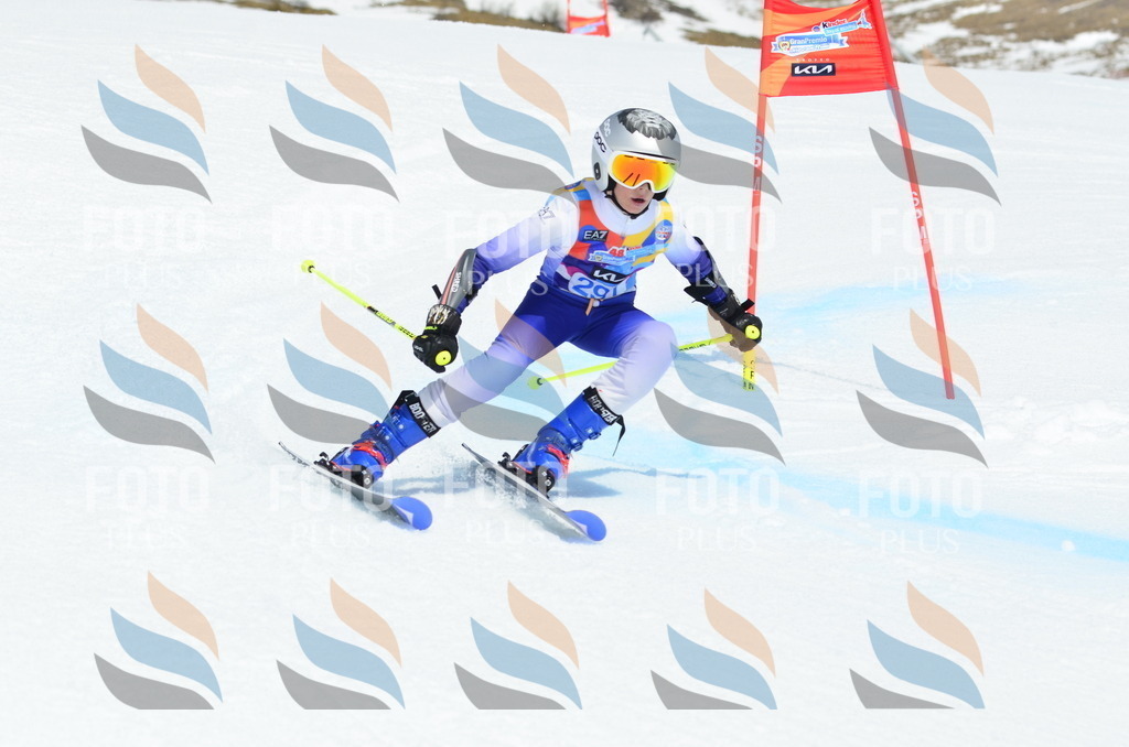 _ELE2081 | holidayphoto