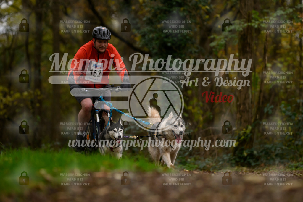 MompixPhotography_Bischwiller24_SA_VTT2-29 | PayLife