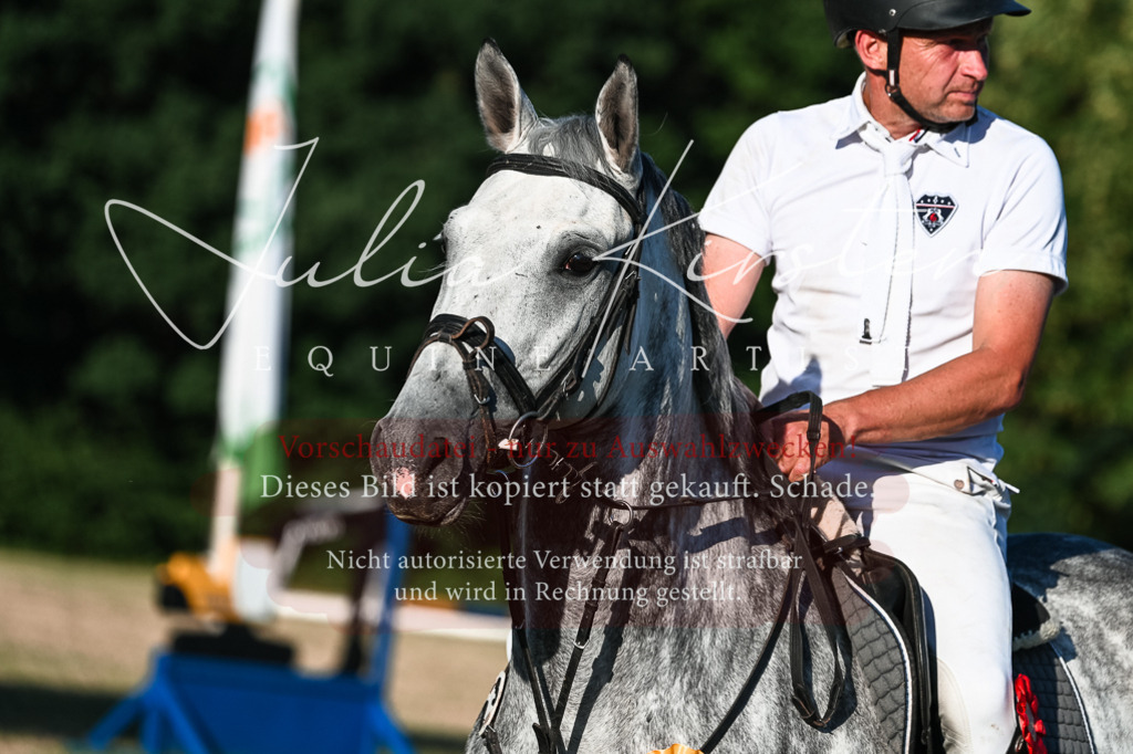DSC_3196 | Pferde- und Turnierfotografie in Westsachsen. Pferdeportraits, Auftragszeichnungen und intuitive Kunst.