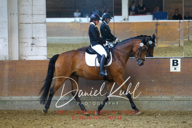 DKP43600 | Turniersportfotografie; Pferdefotografie; Dressurfotografie