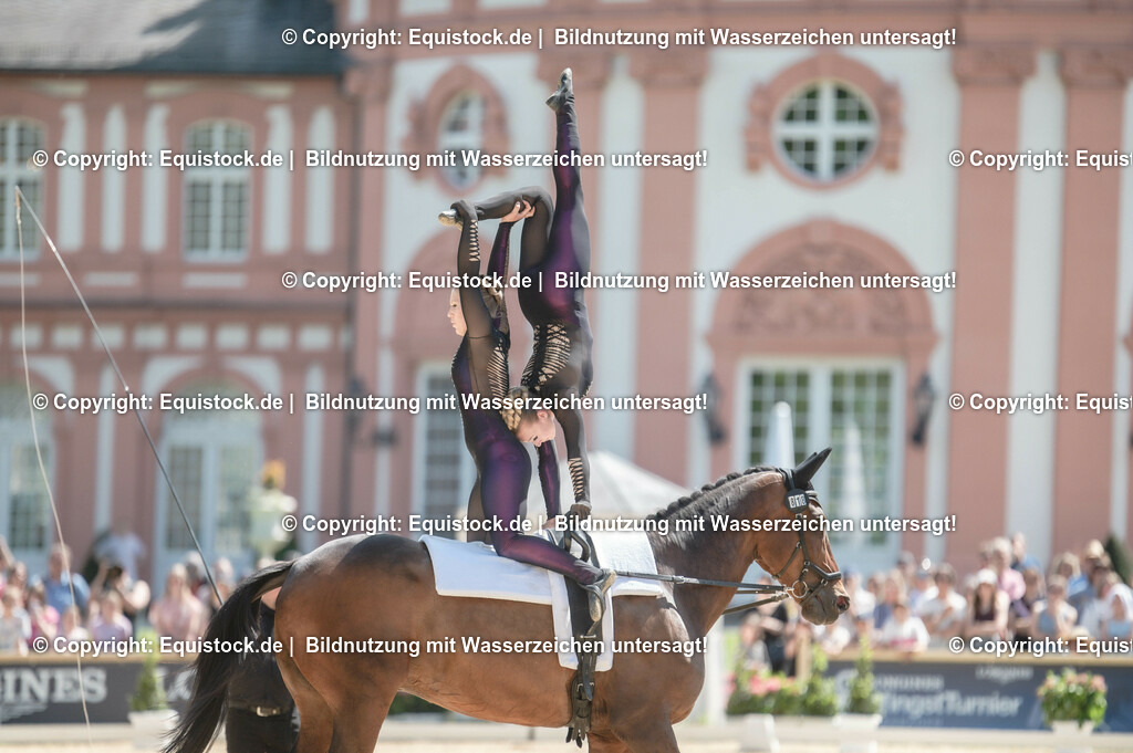 20230528_Voltigieren_NASPA_0223 | equistock