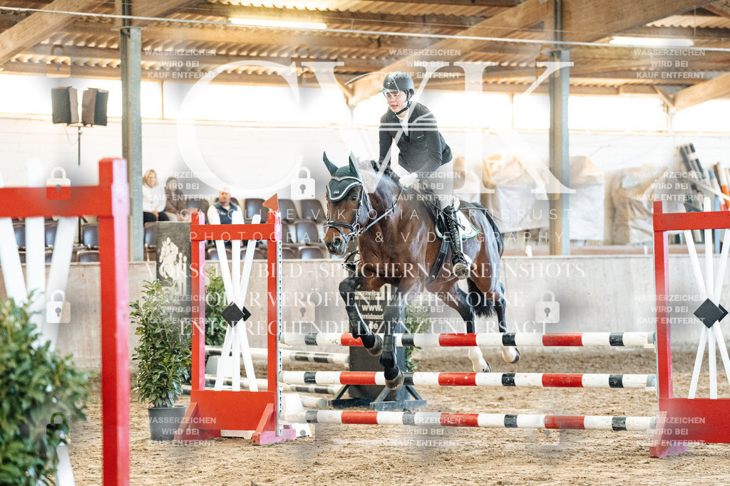 CK904305 | Turnierfotografie Pferdefotografie Trier Rheinland-Pfalz Pferdesport Reitsport Tierfotografie Sportfotografie Pferdevideo Pferdevideografie Equestrianvideography equestrianphotography  - Realized with Pictrs.com