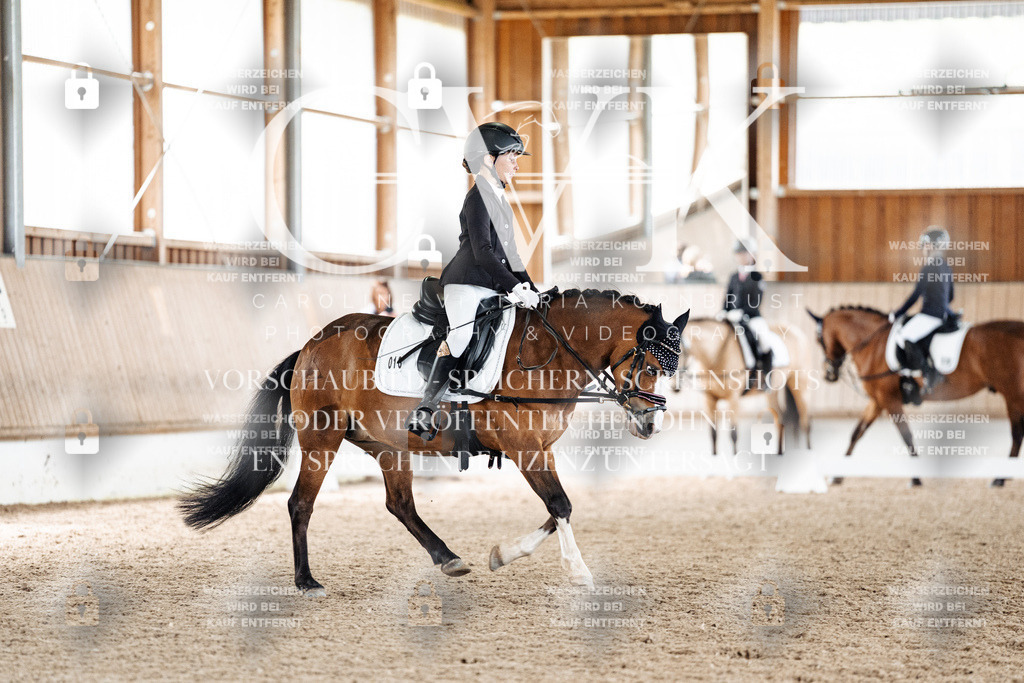 CK901459 | Turnierfotografie Pferdefotografie Trier Rheinland-Pfalz Pferdesport Reitsport Tierfotografie Sportfotografie Pferdevideo Pferdevideografie Equestrianvideography equestrianphotography  - Realisiert mit Pictrs.com