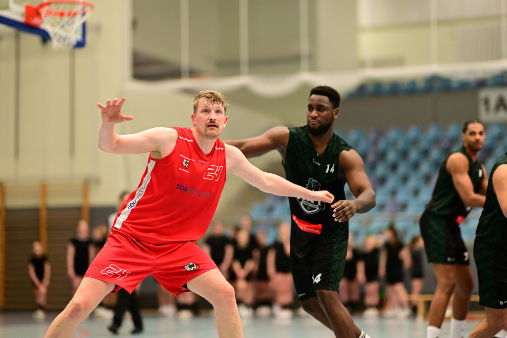 Basketball I Herren I Saison 2024-2025 I Oberliga Hamburg I HNT Hamburg Bears - Walddörfer SV | Der Sportfotograf. - Realisiert mit Pictrs.com