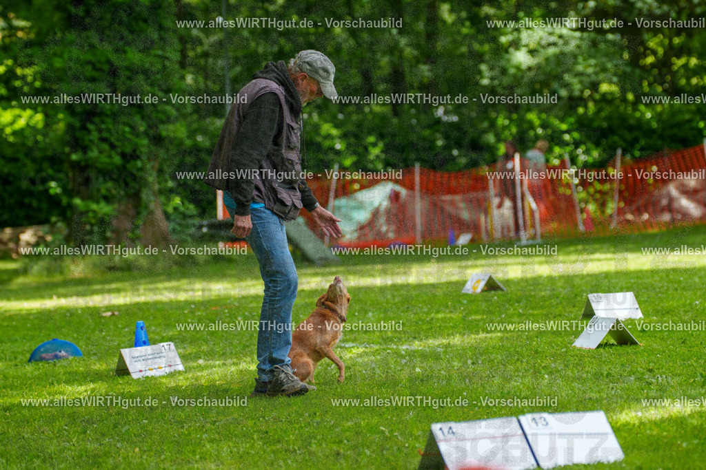 @allesWIRTHgut_Tierfotografie - www.allesWIRTHgut.de - 7R504207 | Professionelle Tierfotografie in Mönchengladbach von Daniel Wirth (allesWIRTHgut). Liebevolle & natürliche Bilder von Hunden & Katzen für unvergessliche Erinnerungen.