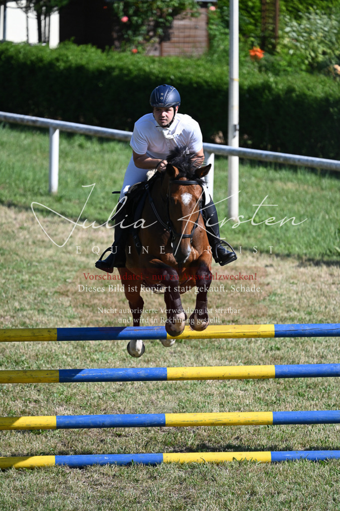 DSC_2165 | Pferde- und Turnierfotografie in Westsachsen. Pferdeportraits, Auftragszeichnungen und intuitive Kunst.