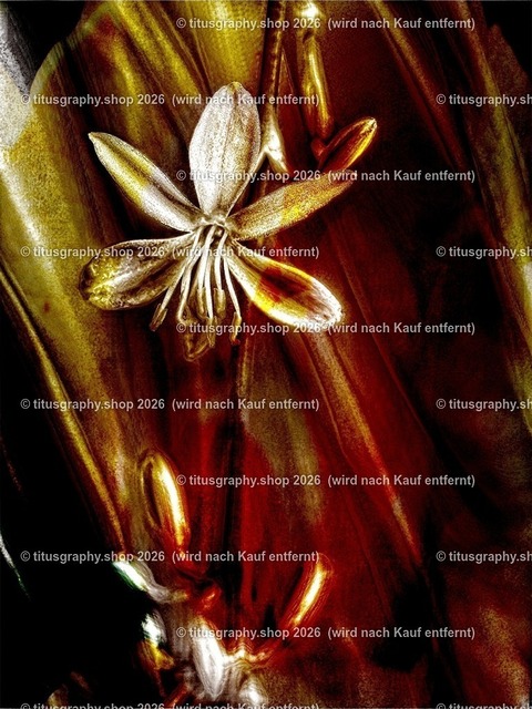 titusgraphy_PA151278-vz-ln_pe_pe-13 | titusgraphy-shop: Geschenkideen mit Qualitätsfotos. titusgraphy-shop: gift ideas with quality photos. titusgraphy-shop: idées cadeaux avec photos de qualité.  - Realisiert mit Pictrs.com