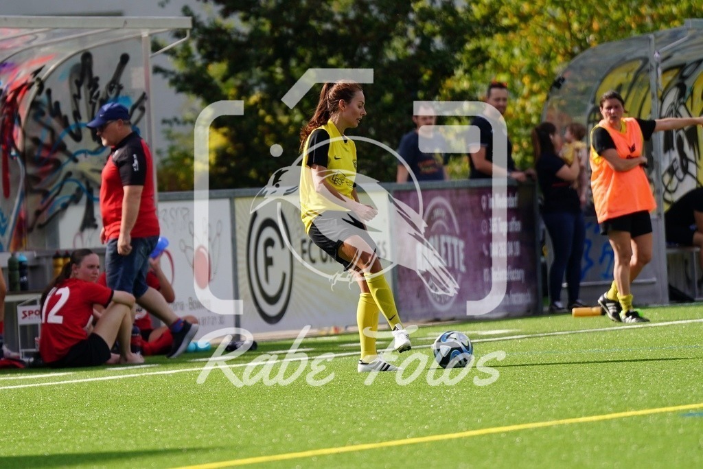 SON09404 | rabefotos