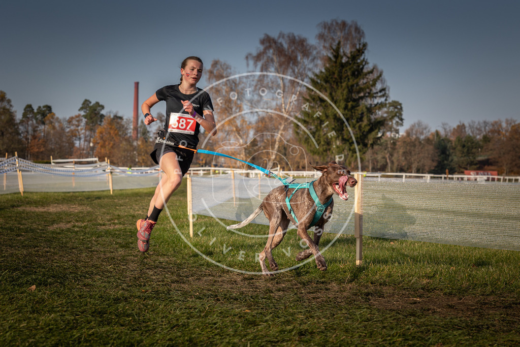CaniXpix_0L8A9772 | Hundefotografie, Tierfotograf, Pfotenfotografie, Fotoshooting Hund, Hunde Portrait, Hundesport, Hundeportraits, Heideshooting, Hunde, Sportfotograf, Hundefotograf, Turnierhundsport, THS,  - Realisiert mit Pictrs.com