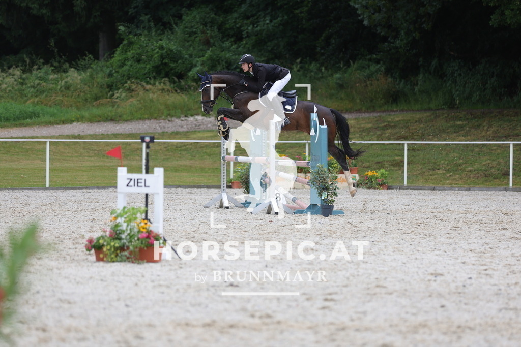 0P6A3386 | Willkommen bei Brunnmayr - Design & Fotografie – Ihrem Spezialisten für Reitturniere und Pferdeveranstaltungen in Oberösterreich, Salzburg und Bayern! Seit über 17 Jahren sind wir leidenschaftlich dabei.
